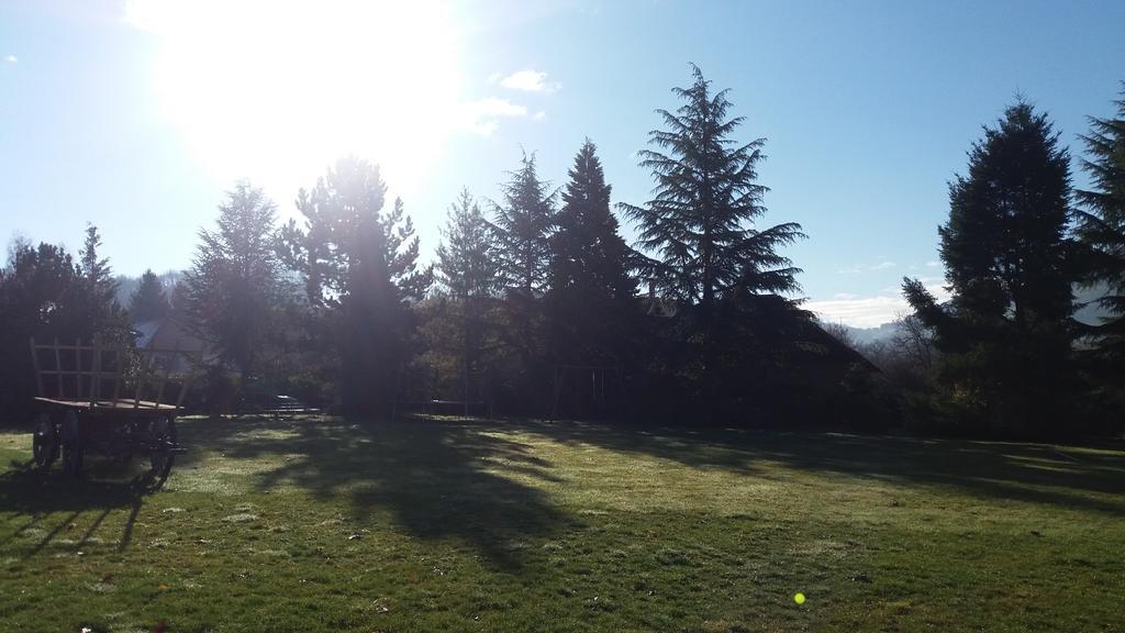 Izeaux Gites De La Croisee Des Chemins - Piscine Chauffee - Spa, Hammam Et Sauna חדר תמונה